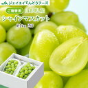 敬老の日 ギフト ぶどう 秀品 山形県産 シャインマスカット 2房(約500g×2) 送料無料