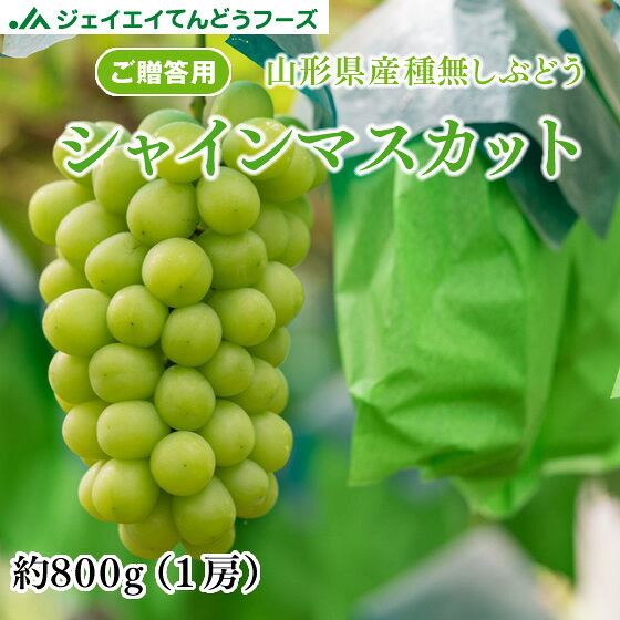 ぶどう 送料無料 ギフト 秀品 山形県産シャインマスカット 1房(約800g以上) 大房 ※一部地域は別途送料追加のサムネイル