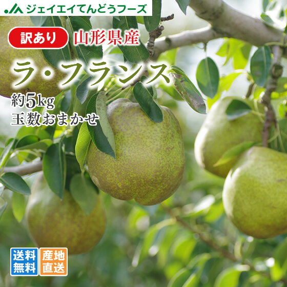 訳あり 果物 送料無料 山形県産洋梨ラフランス 約5kg ※一部地域は別途送料追加 rf21