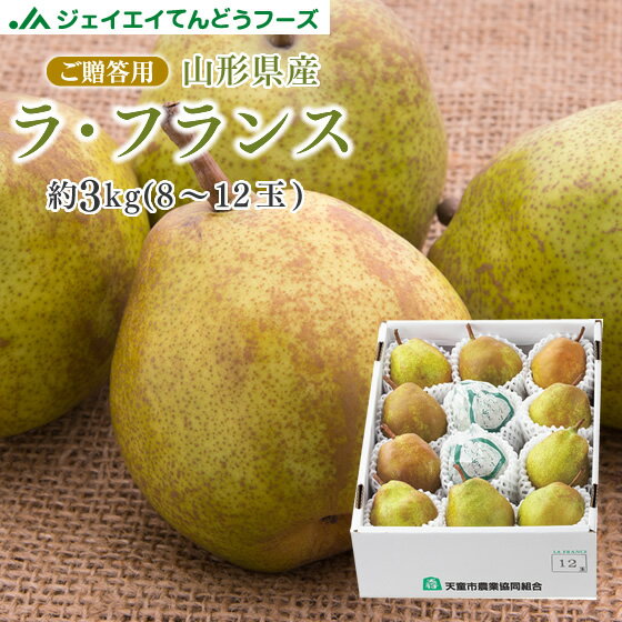 予約商品 ギフト 送料無料 山形県産 洋梨ラフランス約3kg(4L〜Lサイズ・8〜12玉) のし対応 お歳暮 ※九州・沖縄・一部離島を除く rf19