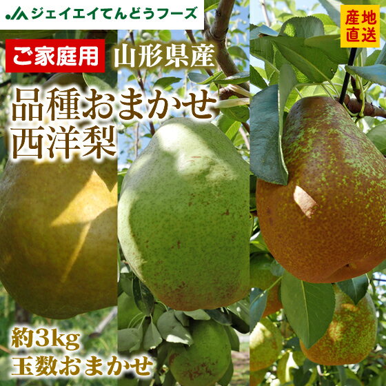 【訳ありお買い得品】山形県産西洋梨品種おまかせ約3kg【送料無料】※一部地域は別途送料追加