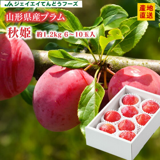 ギフト 送料無料 果物 フルーツ すもも プラム 山形県産 秋姫約1.2kg(6〜10玉) ※一部地域は別途送料追加 秀品 ギフト プレゼント JA共選品