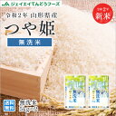 新米 令和2年 山形県産つや姫無洗米 10kg(5kg×2) 送料無料※一部地域は別途送料追加 rtm1002