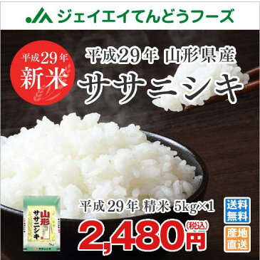 米 送料無料 29年産 山形県産ササニシキ精米5kg 送料無料※一部地域は別途送料追加