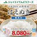 米 送料無料【無洗米】 29年産米 山形県産米 はえぬき 2...