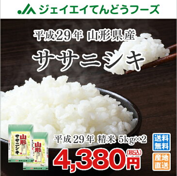 米 送料無料 29年産　山形県産ササニシキ精米　10kg(5kg×2)　送料無料※一部地域は別途送料