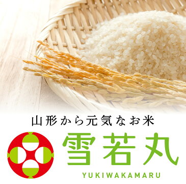 米 20kg 送料無料 令和元年産 山形県産 雪若丸20kg(5kg×4) 精米 ※一部地域は別途送料追加 お米 コメ ryy2001