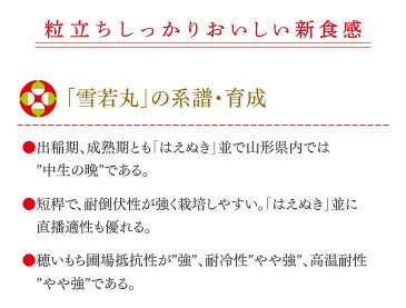 米 20kg 送料無料 令和元年産 山形県産 雪若丸20kg(5kg×4) 精米 ※一部地域は別途送料追加 お米 コメ ryy2001