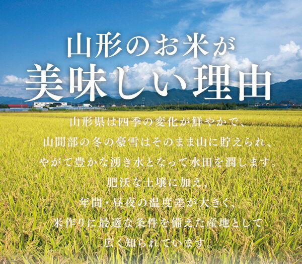 山形のお米が美味しい理由：山形県は四季の変化が鮮やかで、山間部の冬の豪雪はそのまま山に貯えられ、やがて豊かな湧き水となって水田を潤します。肥沃な土壌に加え、年間・昼夜の温度差が大きく、米作りに最適な条件を備えた産地として広く知られています。