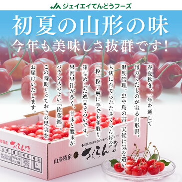 予約商品 クール便 さくらんぼ 佐藤錦 ご家庭用 約1kgバラ詰め 送料無料 一部地域は別途送料追加 rc01