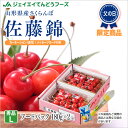 予約商品 父の日 送料無料 ギフト 秀品 さくらんぼ 山形県産 佐藤錦 バラ詰めフードパック180g×2 送料無料※一部地域は別途送料追加 rc12