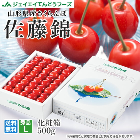 早期予約 さくらんぼ 送料無料 ギフト 秀品 山形県産 佐藤錦 500g 化粧箱入れ 手詰め ※一部地域は別途送料追加 rc17