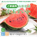 予約商品 山形県産尾花沢すいか 1玉(約4～5kg) wm11