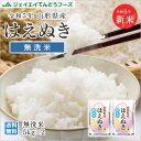 令和5年産 新米 山形県産 はえぬき無洗米10kg(5kg×2) ※一部地域は別途送料追加 お米 コメ 米 JA rhm1005