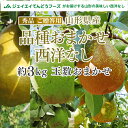 【秀品】山形県産西洋梨品種おまかせ約3kg(玉数おまかせ)【送料無料】※一部地域は別途送料追加