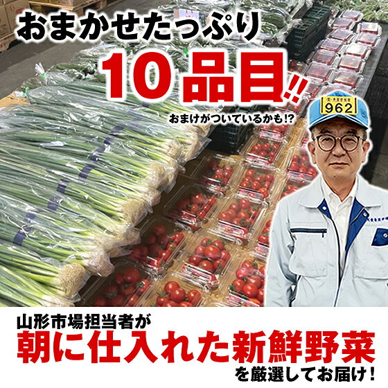 てんどうフーズうまいもの通販の【10品目入り】 山形市場厳選！おまかせ 野菜セット 送料無料※一部地域は別途送料追加 spr17｜アングル2