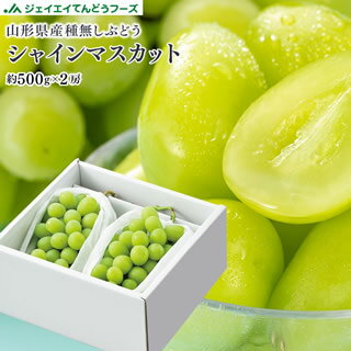 ギフト ぶどう 秀品 山形県産 シャインマスカット 2房(約500g×2) 送料無料