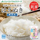 新米 令和7年産 山形県産はえぬき無洗米5kg 送料無料※一部地域は別途送料追加 【キャンセル・着日指定不可】rhm0507