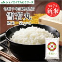 新米 5kg 送料無料 令和7年産 山形県産 雪若丸5kg 精米 ※一部地域は別途送料追加 お米 コメ ryy0507