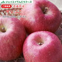 りんご 訳あり 10kg 送料無料 青森県産 サンふじ 約10kg玉数おまかせ) バラ詰め ※一部地域は別途送料追加 フルーツ 果物 果物 1月上旬~中旬順次出...