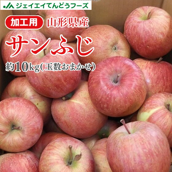 訳あり 加工用りんご サンふじ 10kg 送料無料 山形県産 約10kg(玉数おまかせ) ※一部地域は別途送料追加 フルーツ 果物...