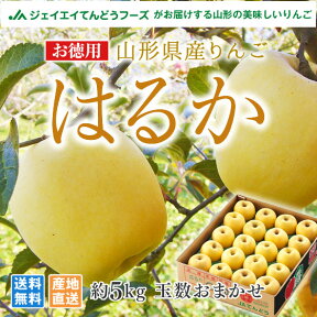 りんご 送料無料 お徳用 優品 山形県産りんごはるか 約5kg(玉数おまかせ) ※一部地域は別途送料追加 t35