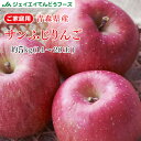 りんご 訳あり 5kg 送料無料 青森県産 サンふじ 約5kg(14〜28玉) バラ詰め ※一部地域は別途送料追加 フルーツ 果物 果物 順次出荷 1月上旬〜中...