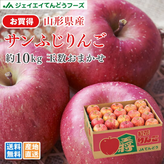 りんご お買い得 秀品もしくは〇秀品 10kg 送料無料 山形県産 サンふじりんご 約10kg(28〜56玉) ※一部地域は別途送料追加 フルーツ 果物のサムネイル