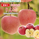 訳あり りんご 10kg 送料無料 山形県産 約10kg(28~56玉) ※一部地域は別途送料追加 フルーツ 果物 ap13