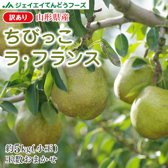 訳あり 小玉 大容量 ちびっこラフランス 山形県産 洋梨 約5kg(玉数おまかせ) 送料無料※九州・沖縄・一部離島を除くrf21