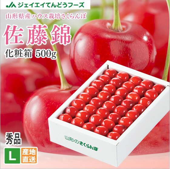 さくらんぼ 送料無料 山形県産 ハウス栽培 佐藤錦 L玉サイズ 500g化粧箱入り手詰め 送料無料※一部地域別途送料 hc07