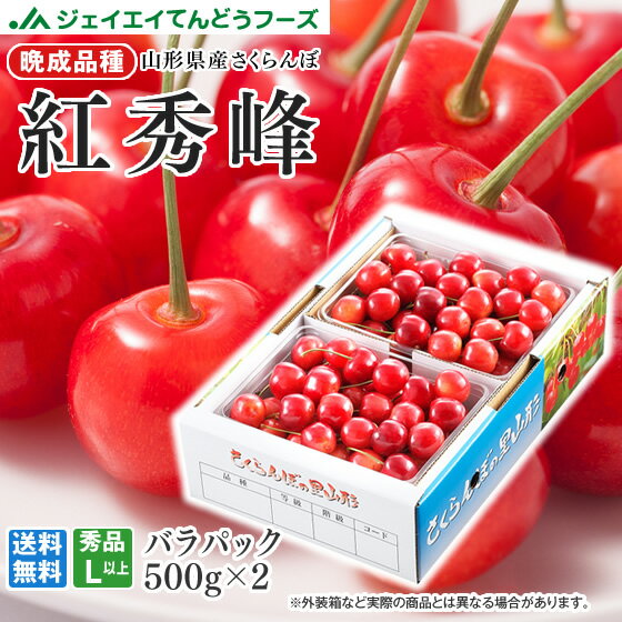 ギフト さくらんぼ 送料無料 山形県産さくらんぼ（紅秀峰）約500gパック×2・Lサイズ以上※一部地域は別途送料追加 rc22