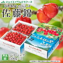 さくらんぼ 送料無料 ギフト 山形 佐藤錦500g×2バラパック M玉サイズ 秀品 ※一部地域は別途送料追加 rc30