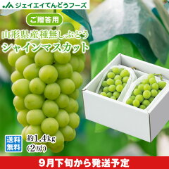 https://thumbnail.image.rakuten.co.jp/@0_mall/tendofoods/cabinet/gu18_ma12.jpg