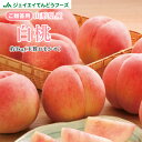 贈答用 秀品 山形県産 白桃 品種おまかせ 約3kg 6〜14玉ギフト 送料無料※一部地域は別途送料 ※8月上旬より発送 pc13