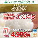 金芽米 送料無料 29年産 山形県産 はえぬき10kg(5k...