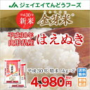 金芽米 送料無料 30年産 山形県産 はえぬき10kg(5k...