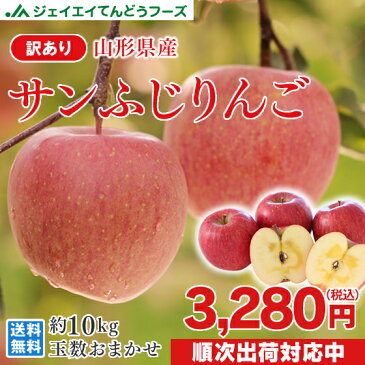 訳あり りんご 10kg 送料無料 山形県産 りんご 約10kg(28〜56玉) バラ詰め ※一部地域は別途送料追加 フルーツ 果物 サンふじ t02 果物