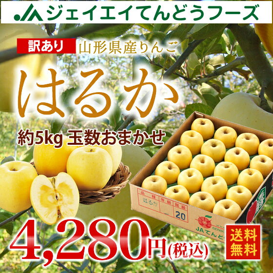 訳あり りんご はるか 山形県産 約5kg(玉数おまかせ)無印 送料無料※一部地域は別途送料 ap44