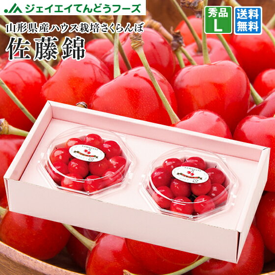 予約商品 さくらんぼ 送料無料 佐藤錦 山形県産 ハウス栽培 L玉サイズ100gダイヤパック×2個入り 送料無料※一部地域別途送料 hc02