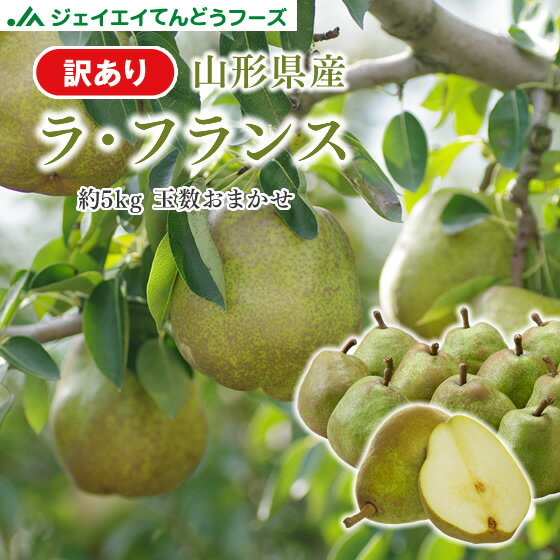 訳あり 送料無料 山形県産洋梨ラフランス約5kg(玉数おまかせ)※九州・沖縄・一部離島を除くrf21