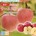 りんご 訳あり 山形県産 サンふじ 約3kg 送料無料※一部地域は別途送料追加 ap43