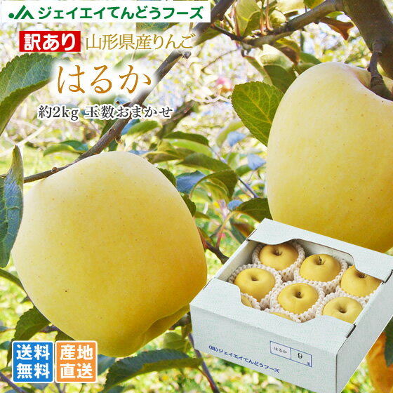 訳あり 送料無料 りんご 送料無料 JAてんどう 山形県産りんごはるか 約2kg(玉数おまかせ) ※一部地域は別途送料追加 お試し ap44...