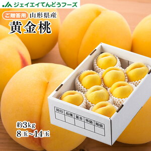 【黄金桃】珍しい黄色い桃を食べてみたい！おすすめの黄金桃は？