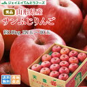 予約商品 りんご ギフト 送料無料 サンふじ 秀品 約10k...