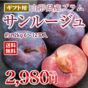 希少品種 秀品 山形県産 プラム サンルージュ 約1.2kg 送料無料※一部地域は別途送料追加 9月中旬ころより順次出荷 pl05