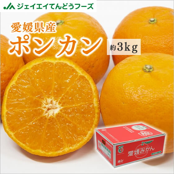 愛媛県産 ポンカン 約3kg 玉数おまかせ ぽんかん 柑橘 果物 フルーツ ギフト ※一部地域は別途送料追加 pkn05