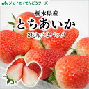 いちご いちご 栃木県産 とちあいか 2パック (約260g×2) 粒数おまかせ イチゴ フルーツ ギフト ※一部地域は別途送料追加 tak05