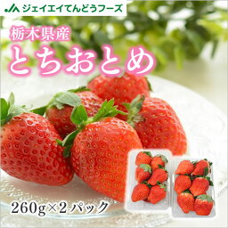 いちご 栃木県産 とちおとめ 2パック (約260g×2) 粒数おまかせ イチゴ フルーツ ギフト ※一部地域は別途送料追加 tom05