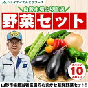 【10品目入り】 山形市場厳選!おまかせ 野菜セット 送料無料※一部地域は別途送料追加 spr17